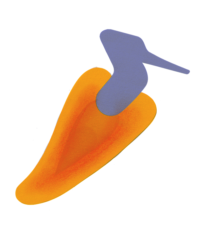 FAÜNA illustration